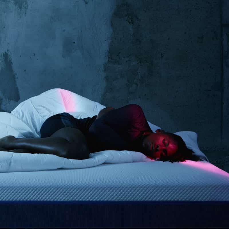 Fortnight Studio Simba Sleep